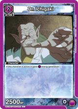 UE13BT/YYH-1-021 Dr. Ichigaki