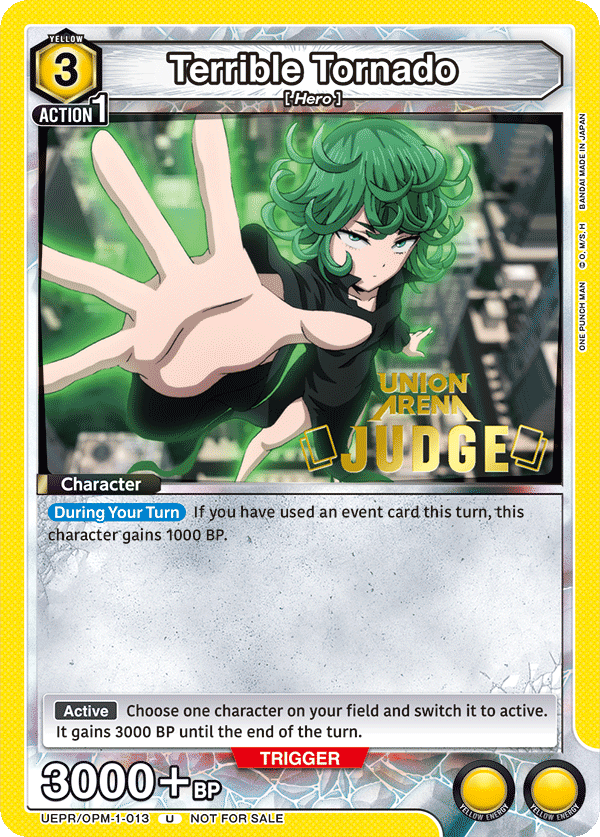 UEPR/OPM-1-013_p1